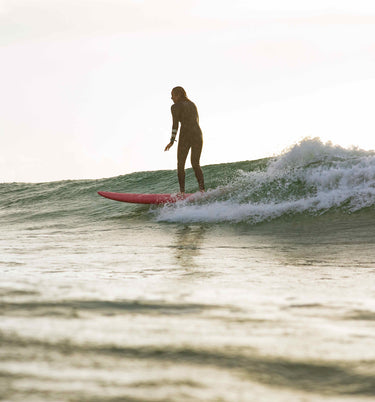Funster Pine Lime - Mini Mal Surfboards